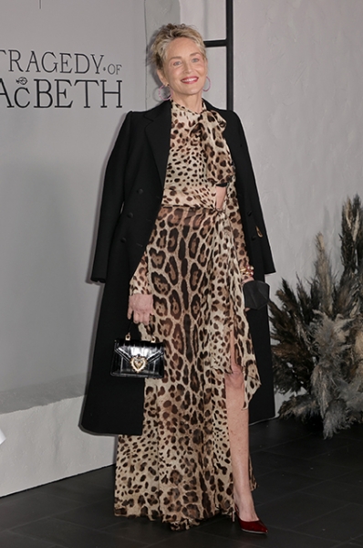 Образ дня: Шэрон Стоун в полупрозрачном леопардовом платье на кинопремьере в Лос-Анджелесе